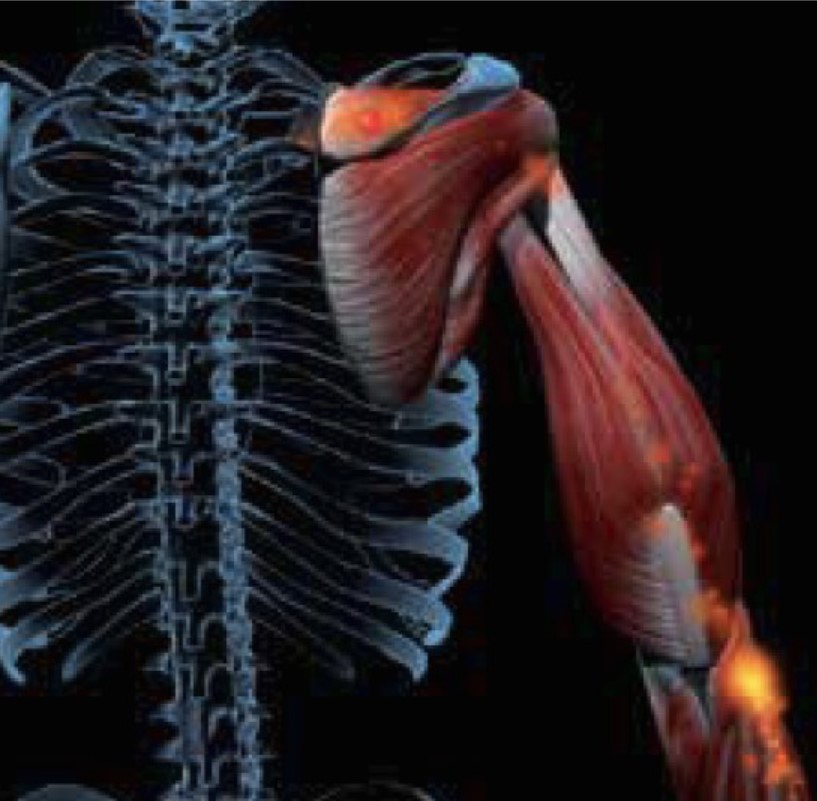 Webinar: MLS and Regenerative Medicine: Applications for the Spine
