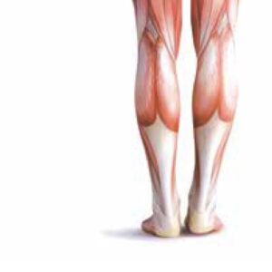 Webinar: MLS Therapeutic Laser in Clinical Practice: A Podiatrist’s Experience